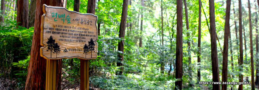 2025 전국노래자랑 부산 서구 편 알아보기