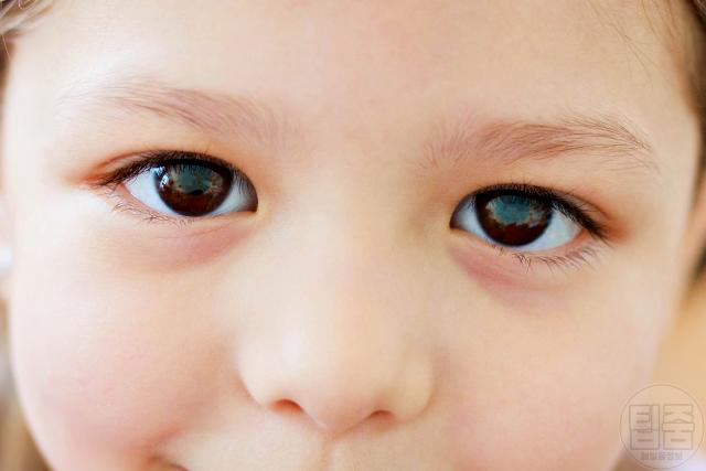 눈 아이 시력 건강,팁줌