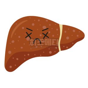 ALT수치가 높으면