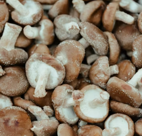 비타민D 많은 음식