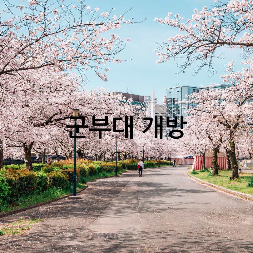 2025년 진해 군항제