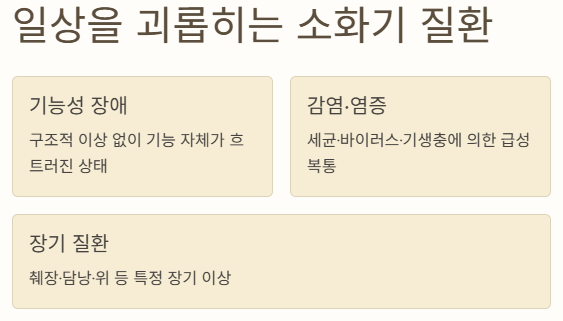 배가 살살 아픈 이유