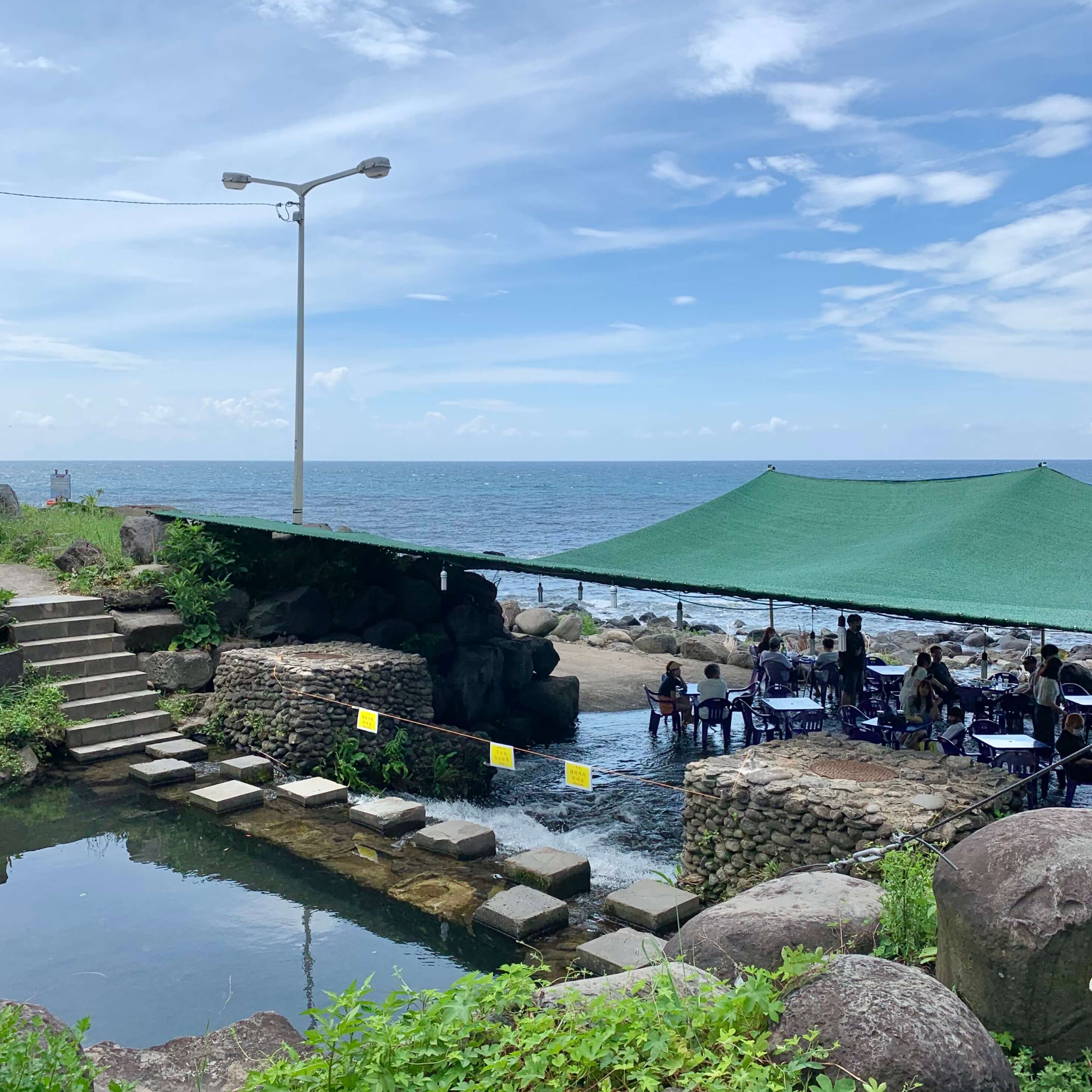 제주 속골 백숙