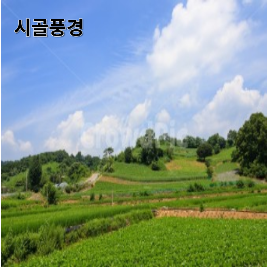 농촌 생활의 특징, 변화 과정, 도전과 기회