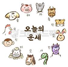 2025년 운세 흐름