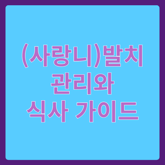 치아 발치 관리 식사가이드