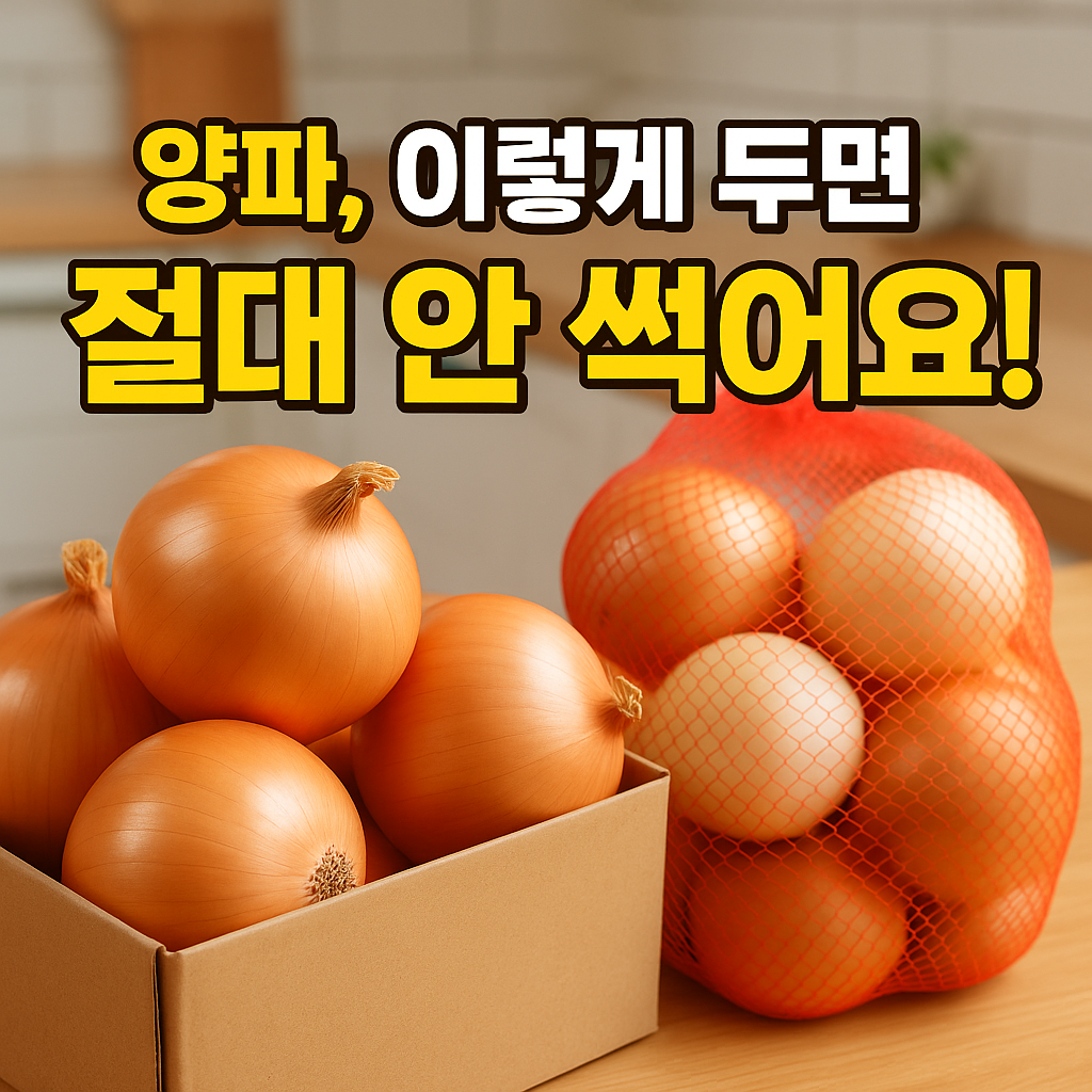 양파 보관법