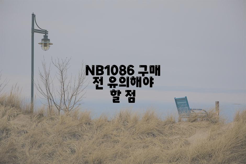 NB1086 구매 전 유의해야 할 점