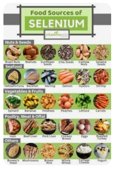 셀레늄-풍부한-음식