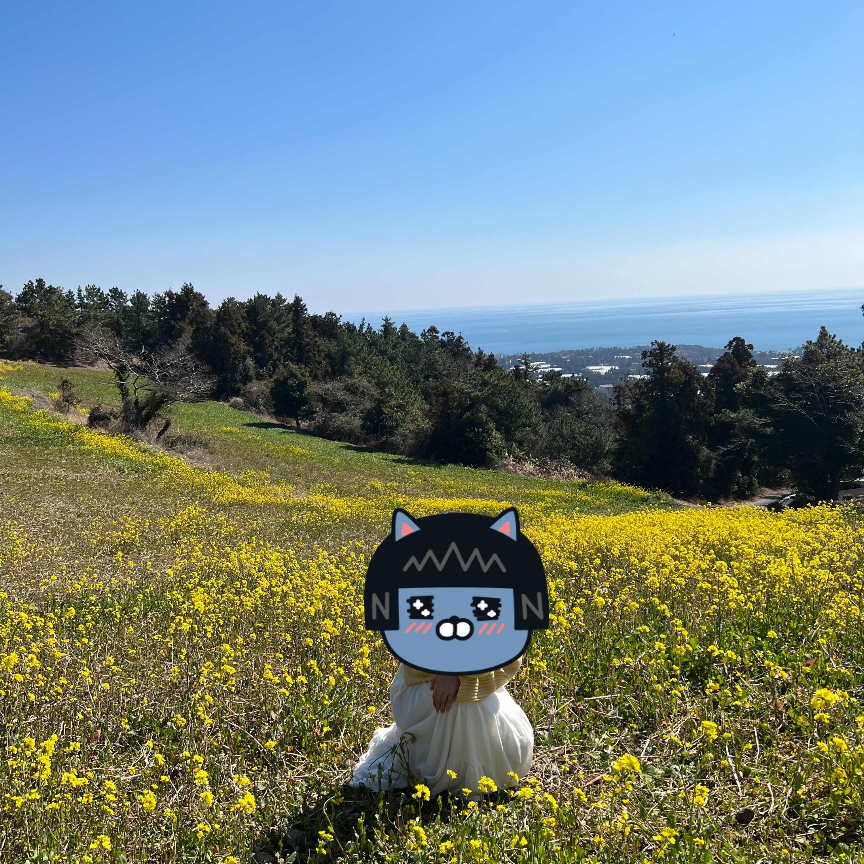 제주 가볼만한 곳 베스트