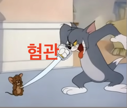 혐관 짤