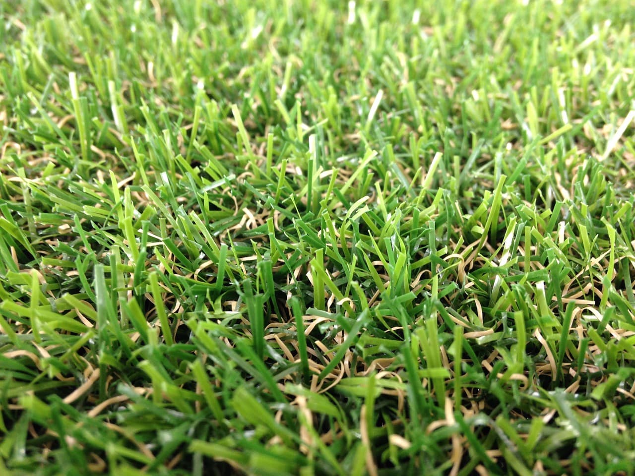 인공지능 윤리 문제, 우리가 해결할 수 있는 방법은?