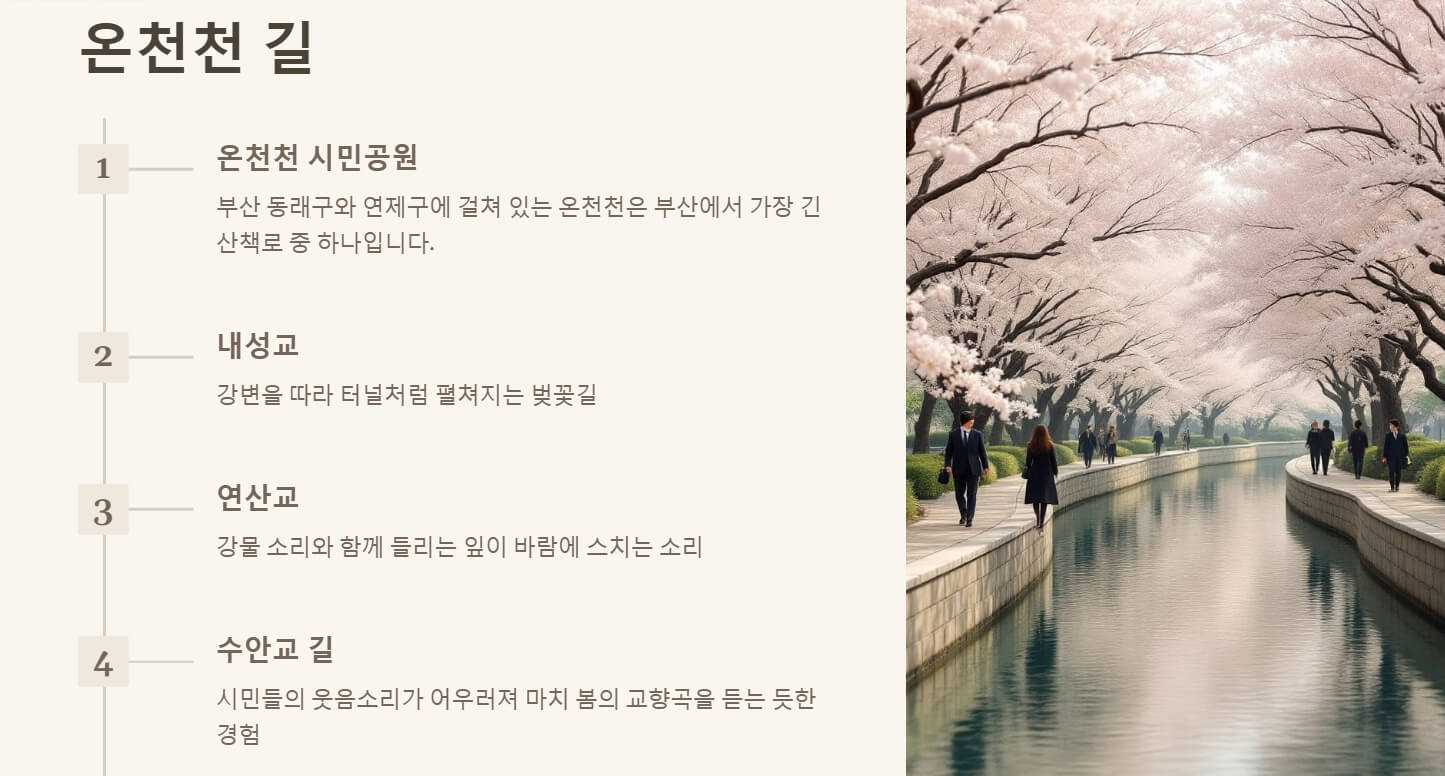 부산 벚꽃 명소