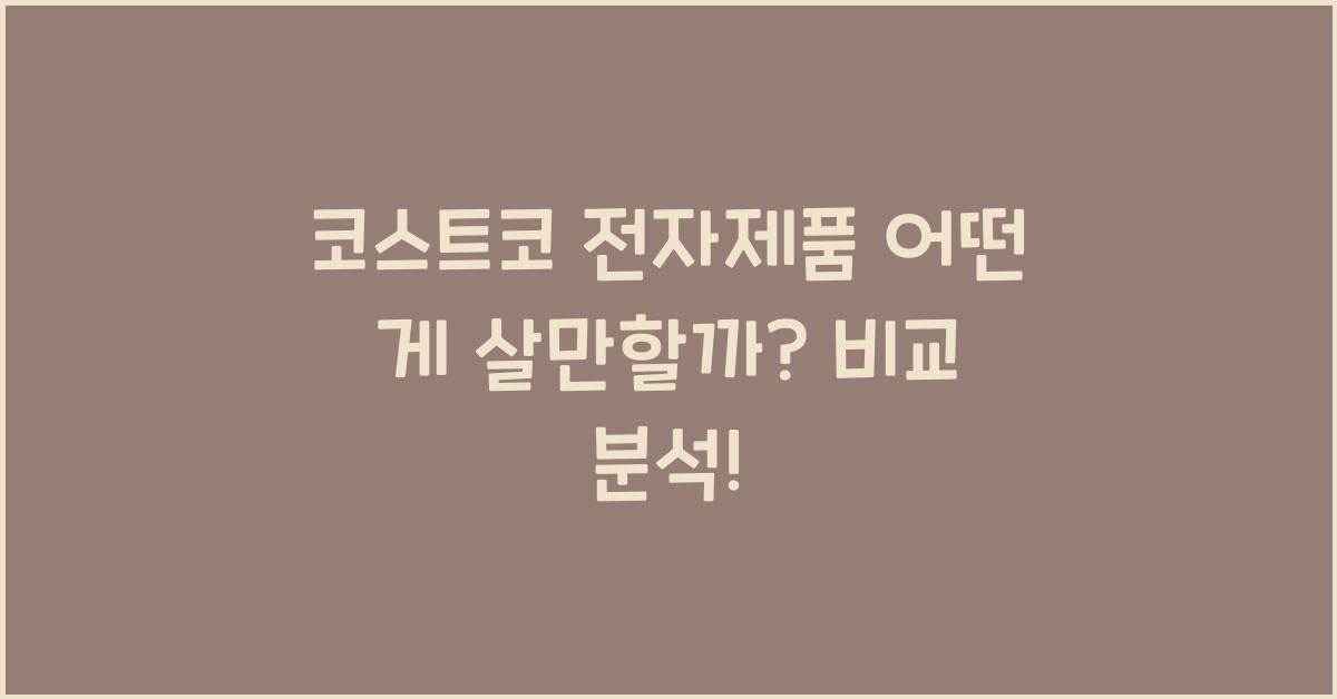 코스트코 전자제품