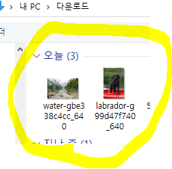 구글 이미지 검색