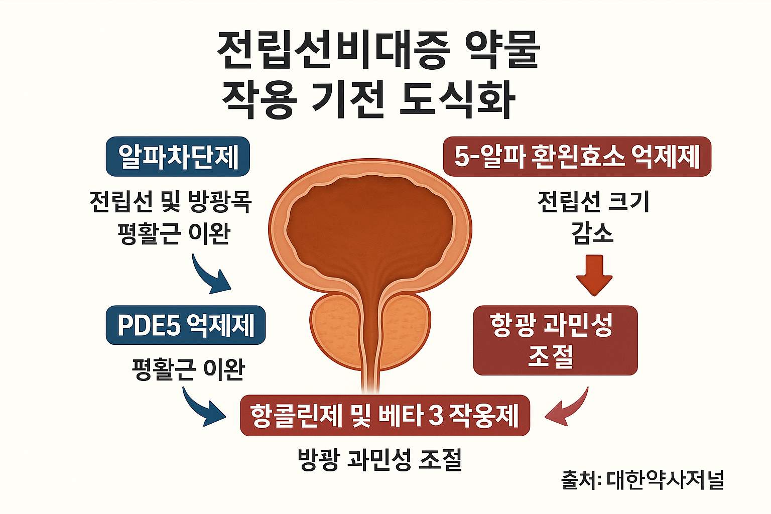 약물기전