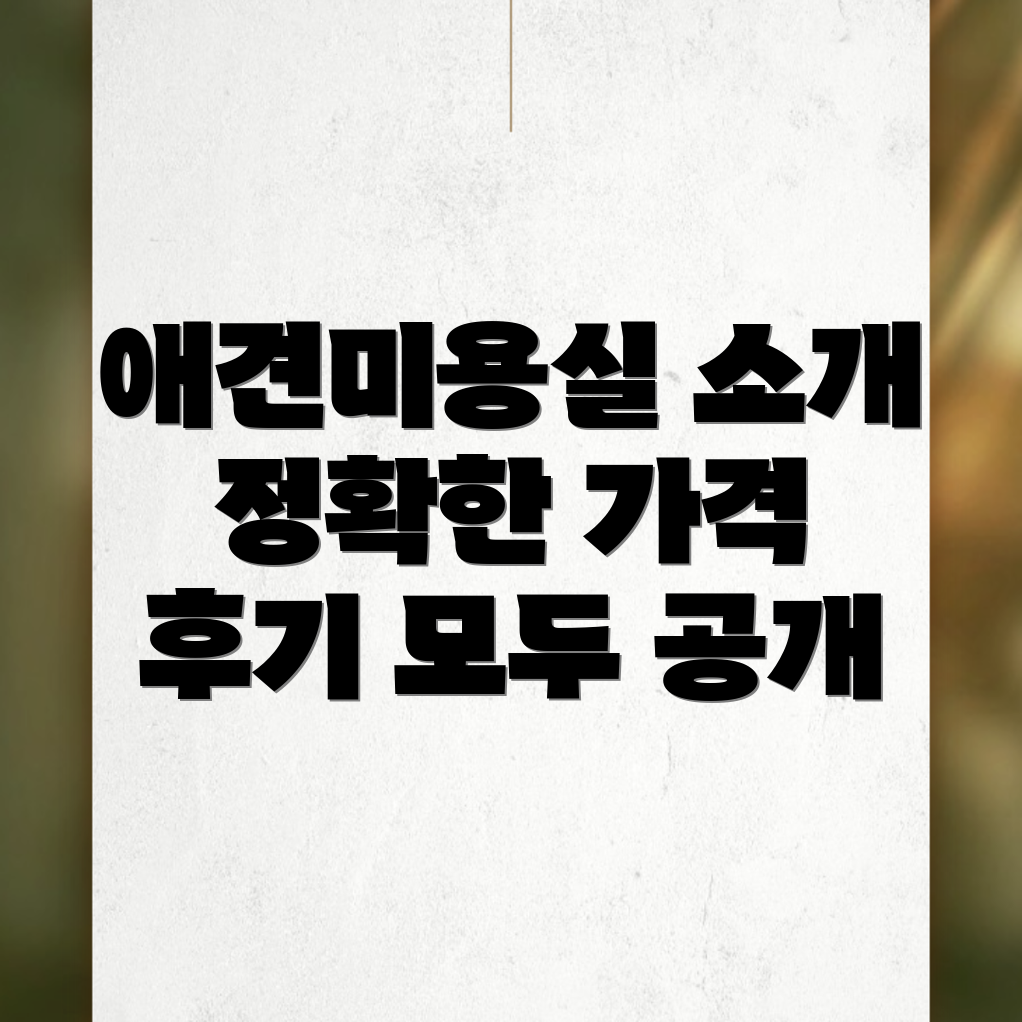 애견미용실