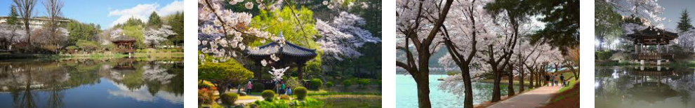 포토존으로 유명한 경주 핫플레이스 &ndash; 감성충만 인스타 명소 총정리 (2025 최신)