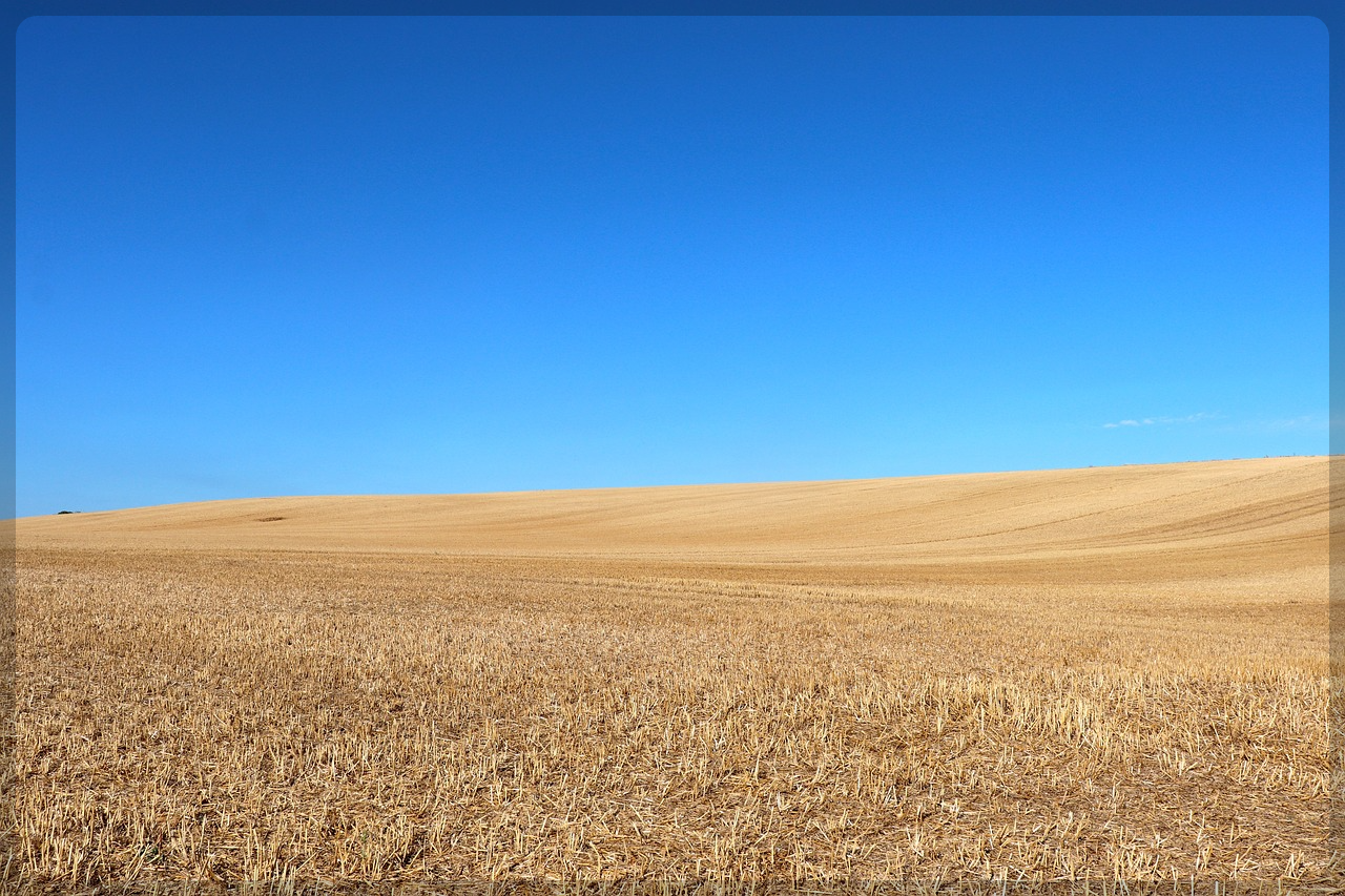 농지이양은퇴직불금제도