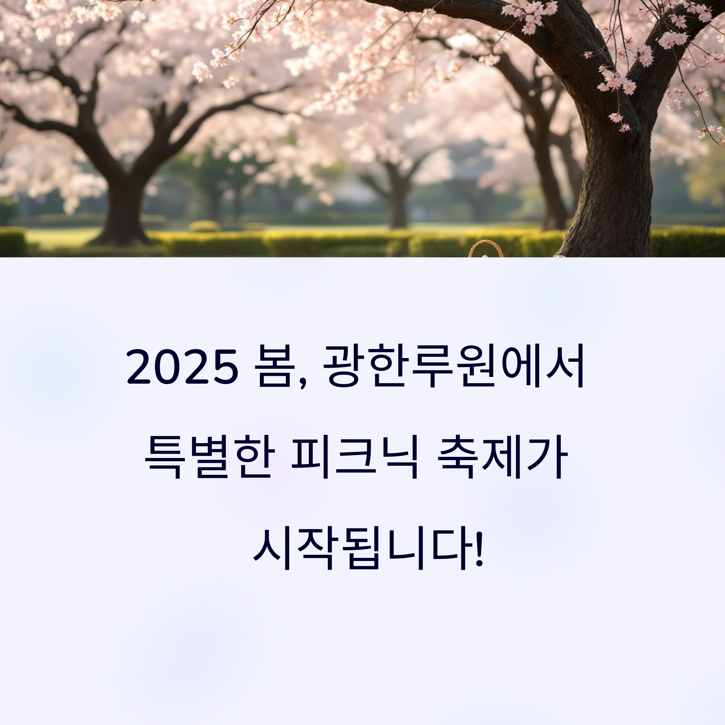 남원 광한루원 피크닉