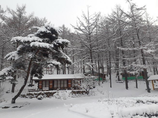 양평설매재자연휴양림