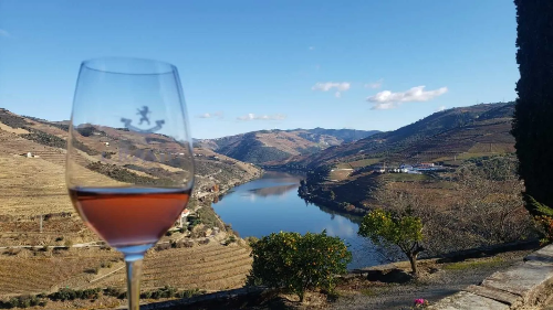 vinho do Porto