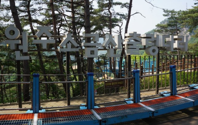 원주소금산출렁다리-인증-포토존