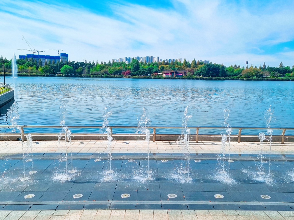 서울 근교 가을꽃 만발한, 경기도 고양시 강매석교공원 창릉천 코스모스축제