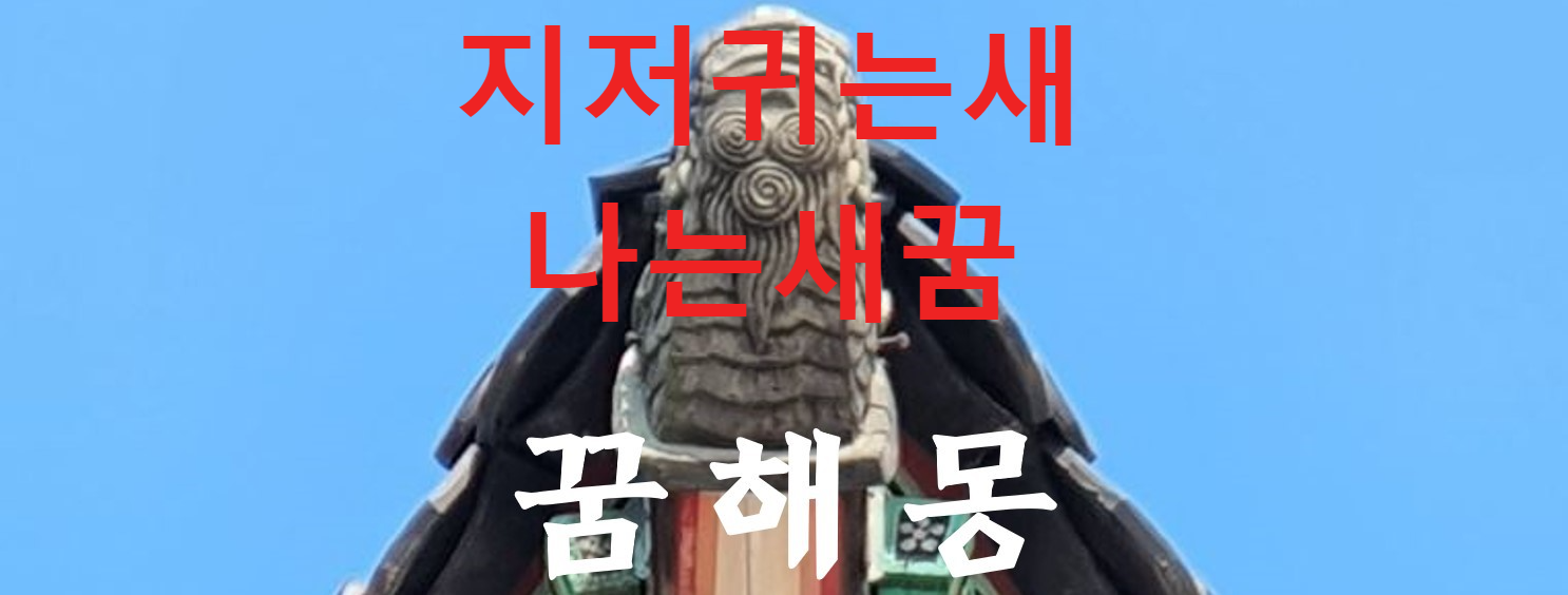 꿈해몽