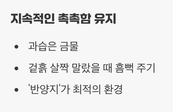 촉촉함은 기본, 과습은 금물