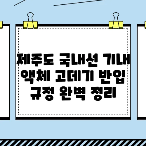 제주도 국내선 기내 액체 고데기 반입 규정 완벽 정리
