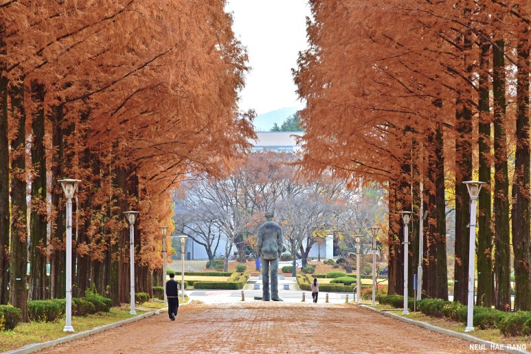 경산 가볼만한곳 베스트10