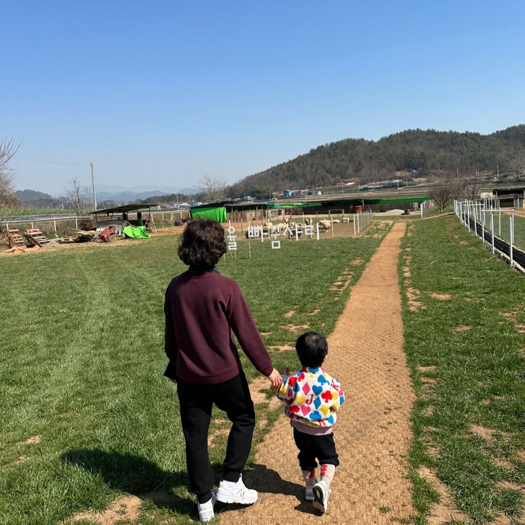 고흥 아이랑 동물 체험 넓은 잔디 공간 전경