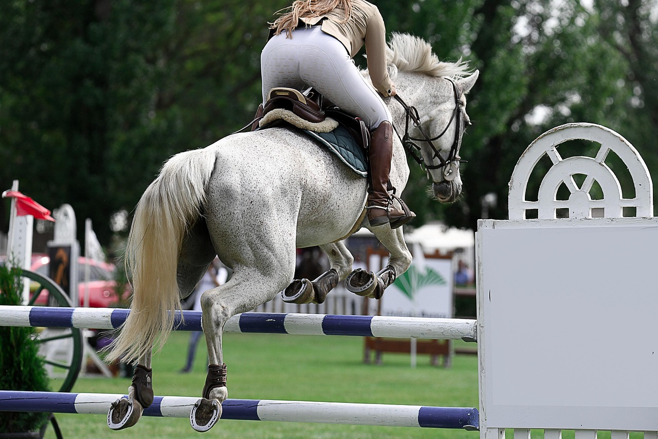 나는 왜 무기력을 반복하는가