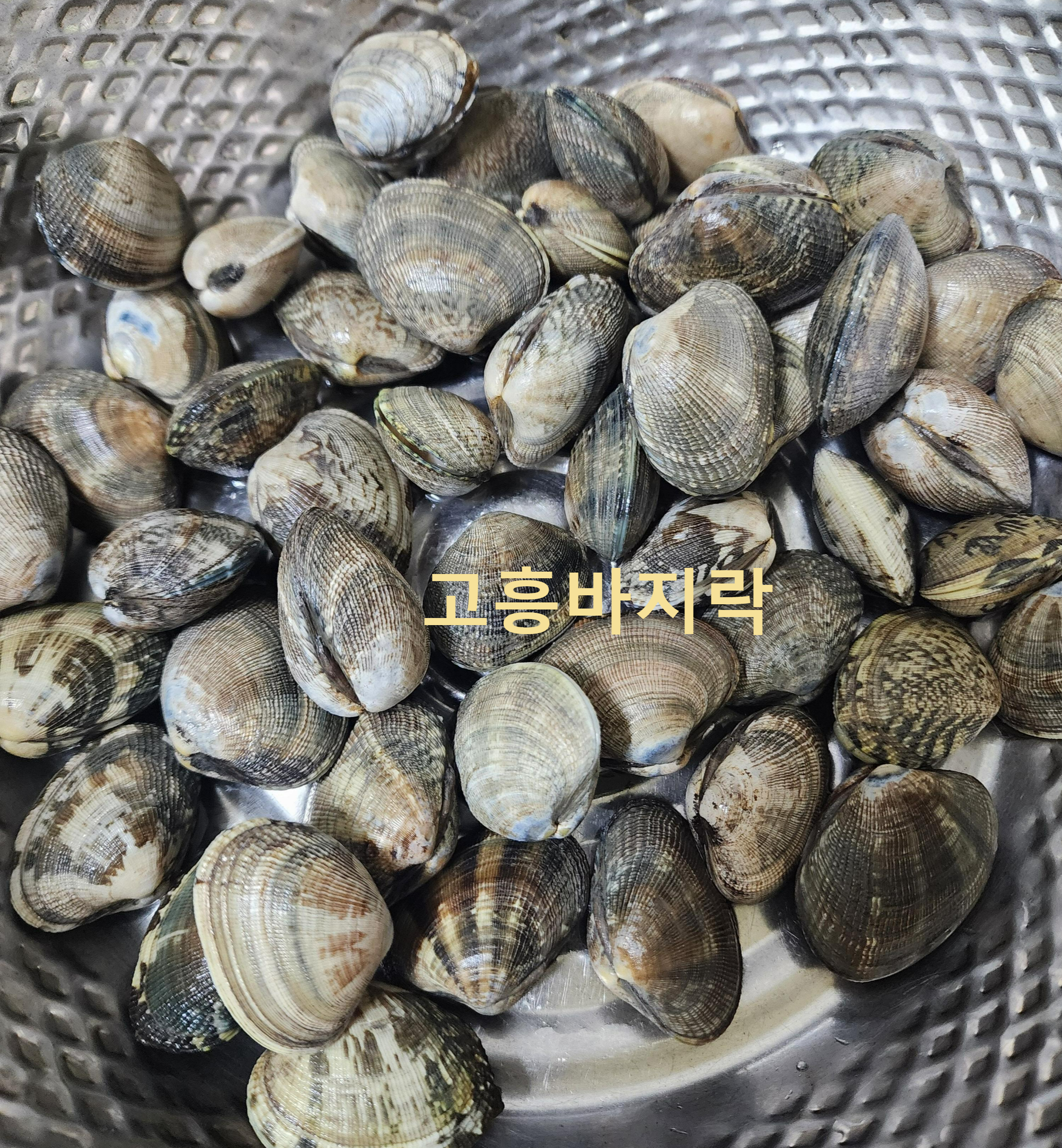 Alt 속성 문제 해결 설명 이미지