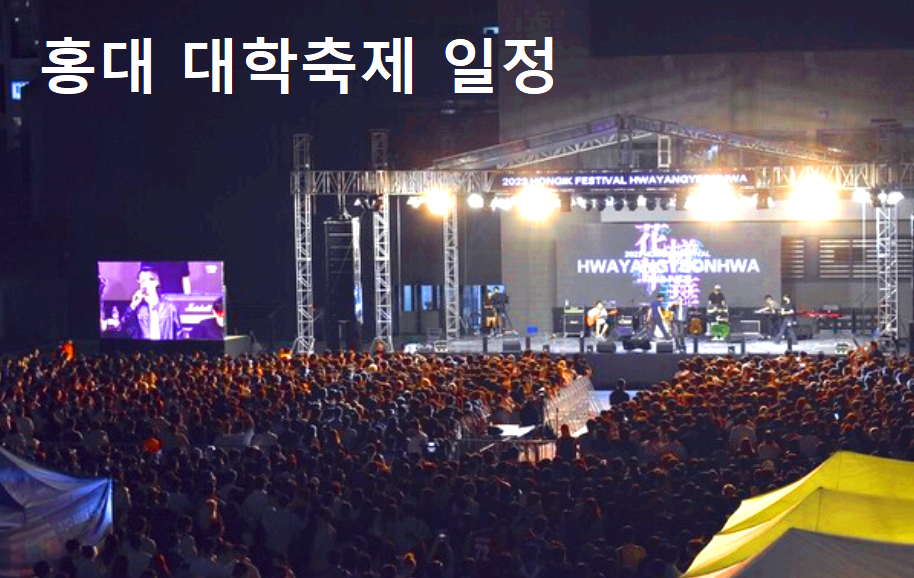 홍대 대학축제