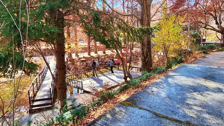 캠핑장 맛있는 하루! 오캠맨 먹캠 도전 맛있는 하루! 오캠맨 먹캠 도전 추천