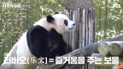 러바오