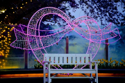 대구 여행지 사진