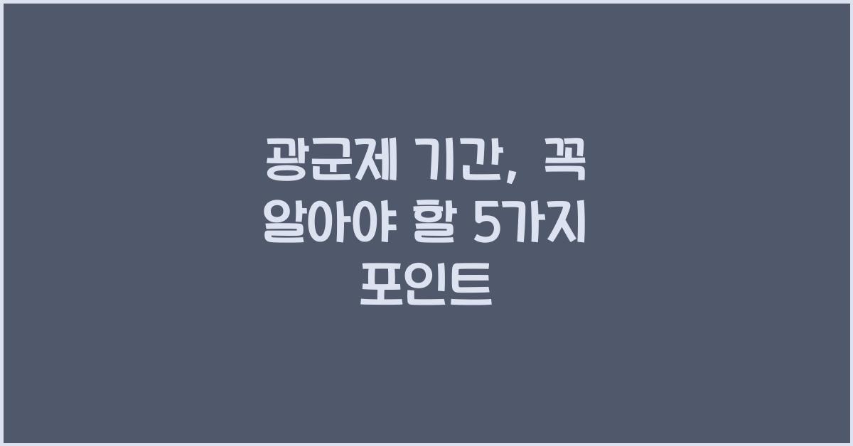 광군제 기간