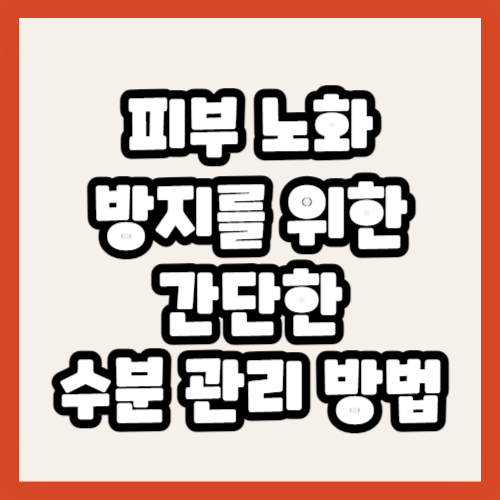 피부 노화 방지