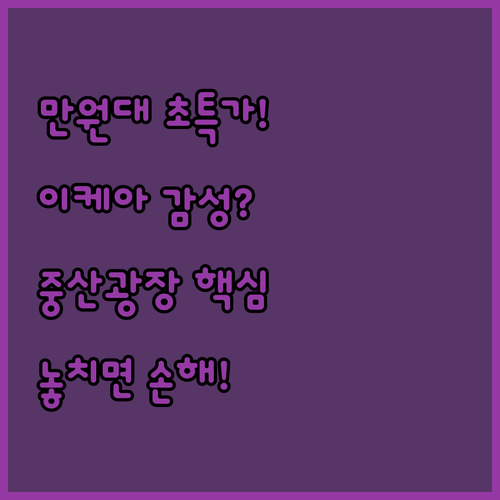1만원대 초특가부터 이케아 호텔까지 ..