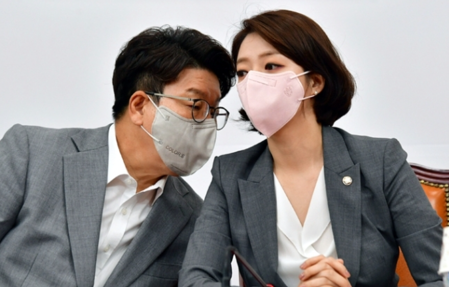 배현진 국민의힘 국회의원