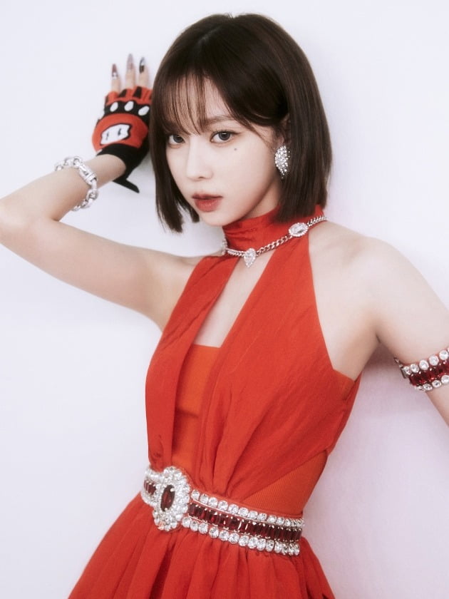 갓더비트-보아-윈터