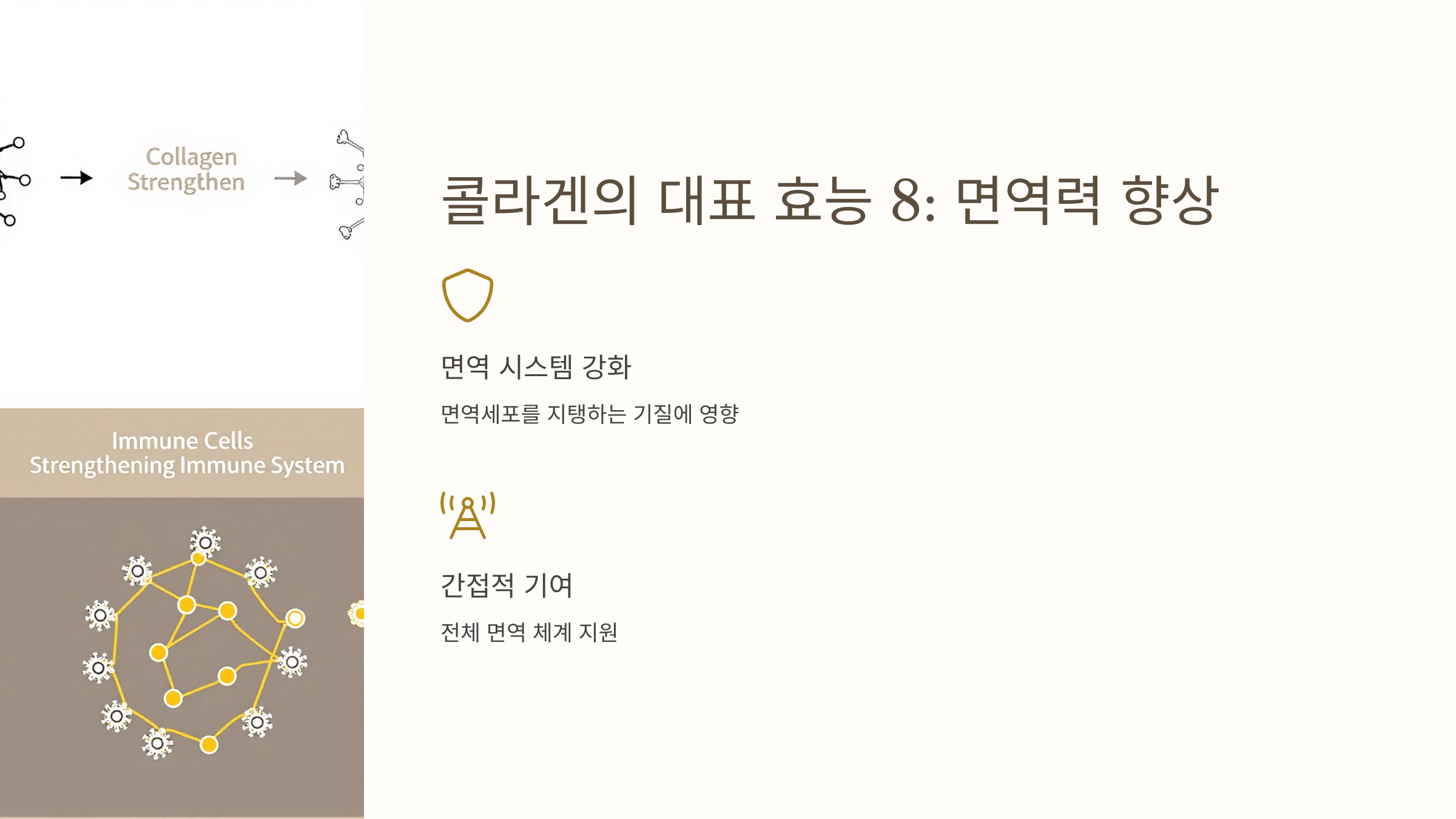 콜라겐 관련 사진입니다.