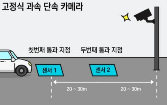신호단속 카메라