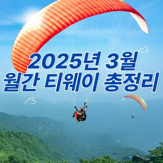 2025년 3월 월간 티웨이 특가 프로모션 총정리