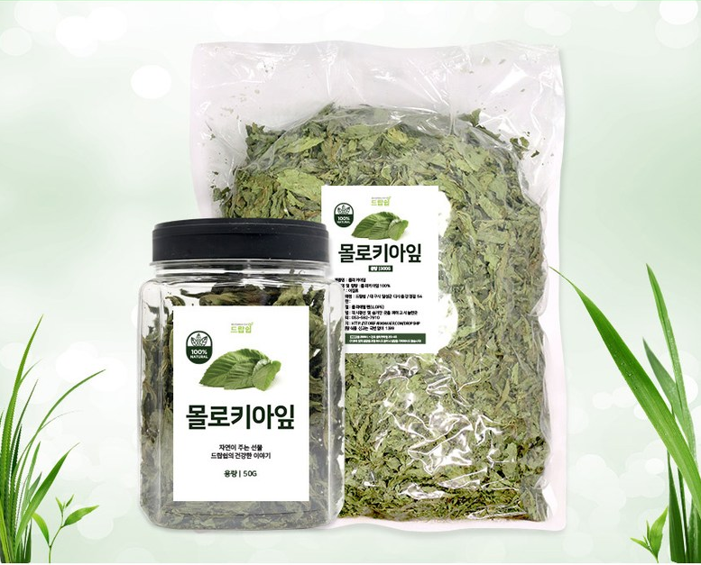 몰로키아 잎