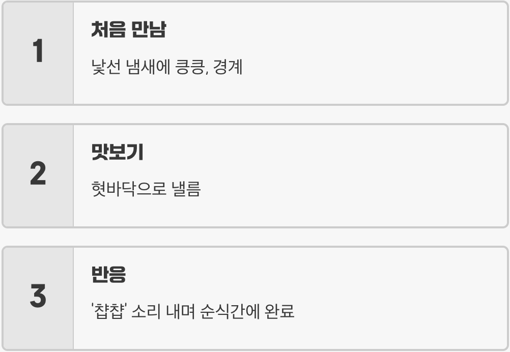 우리 집 댕댕이의 솔직 후기