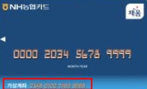 문화누리카드 잔액 충전을 위한 가상계좌를 확인할 수 있는 카드 이미지이며&amp;#44; 카드 좌측 하단에 가상계좌번호가 있습니다.